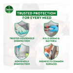 Dettol Antiseptic Germicide Liquid - Image 3